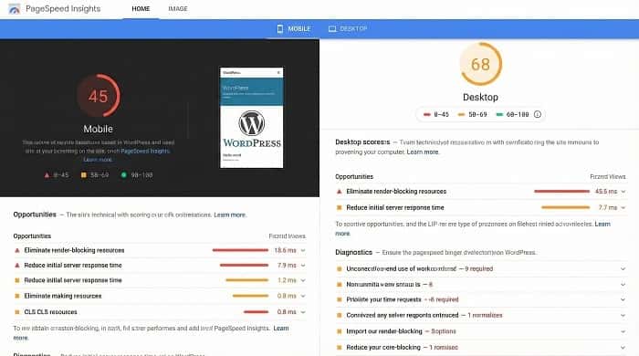 گزارش PageSpeed برای بررسی کند شدن سایت وردپرسی